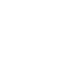 Fast Ez Icon 2.webp